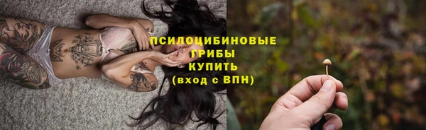 хмурый Заводоуковск