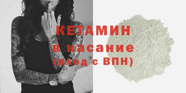 сатива Новодвинск